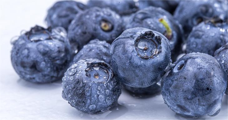 1721027457194065.jpg 摄图网_501324861_wx_蓝莓(企业商用).jpg